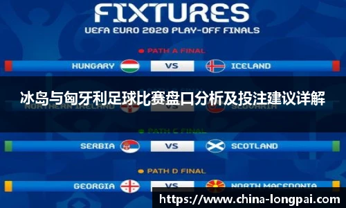 冰岛与匈牙利足球比赛盘口分析及投注建议详解